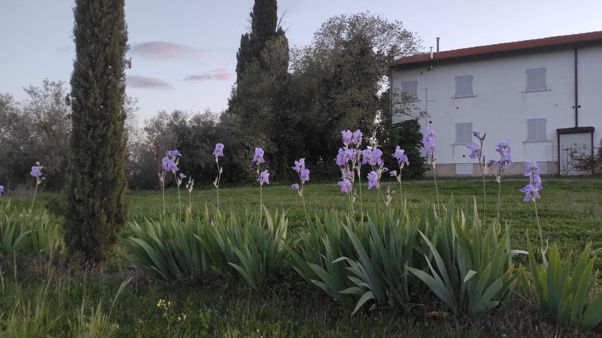 Villa Borgo Iris Pietraia Exterior foto