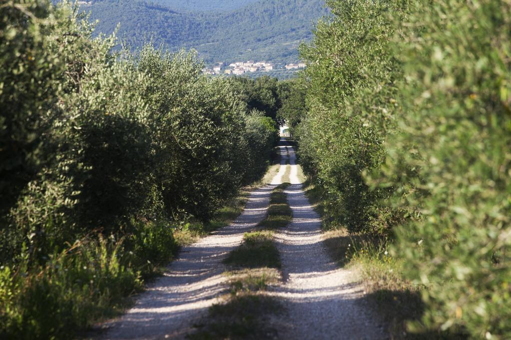 Villa Borgo Iris Pietraia Exterior foto